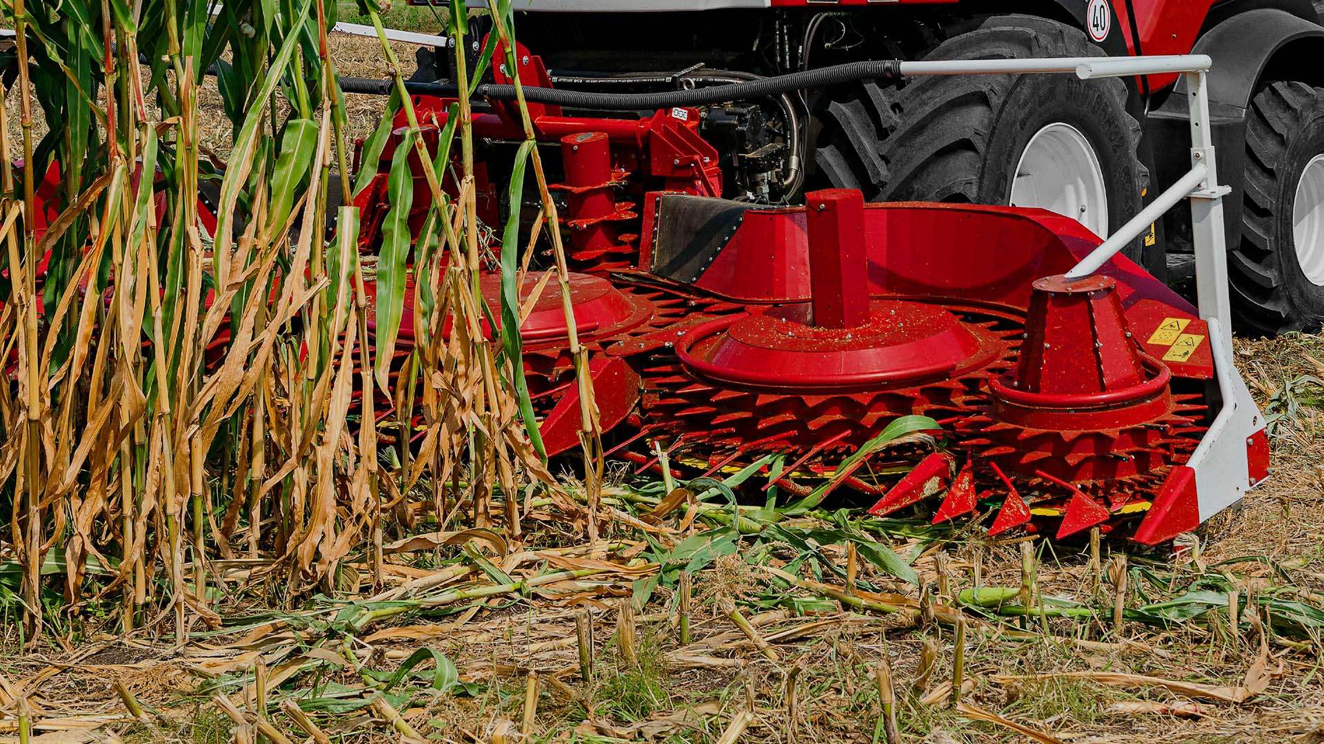MAIZE HEADER